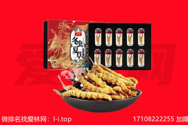 灵武市回收虫草.jpg